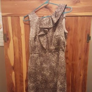 Ann Taylor Loft dress